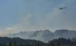 Bornova'da orman yangını: Sabuncubeli Tüneli trafiğe kapatıldı