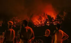 Bu bilgi hayat kurtarabilir: Orman yangını çıktığında ne yapmalıyız?