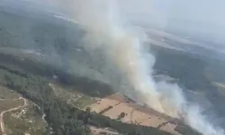 Buca'da orman yangını çıktı