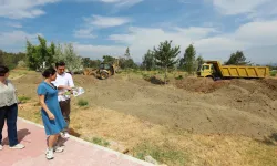 İzmir'in en uzun sahillerinden biri: Pamucak'ta ağaçlandırma çalışmaları hız kazandı
