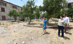 Efes Selçuklulara müjde: Yeni yol ve otopark çalışmaları başlıyor