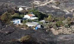 3 kişi hayatını kaybetmişti: İzmir'deki orman yangınının nedeni belli oldu