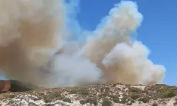İzmir Çeşme'de orman yangını: 3 kişi hayatını kaybetti