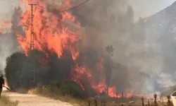 Ege'nin bir köşesi daha yanıyor: Çameli'ndeki yangına müdahale sürüyor
