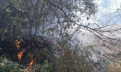Evlere de sıçradı: Manisa'da orman yangını