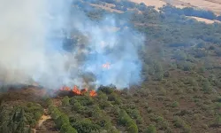 Foça'da otluk alanda yangın: Müdahale sürüyor