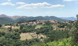 İzmir'in orman köyü: Gödence Köyü nerede? Gödence Köyü'ne nasıl gidilir?