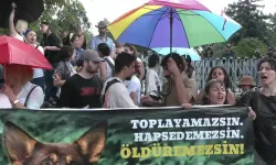 Meclis önünde toplanan hayvan hakları savunucularına polis müdahale etti: Meclise alınmadılar