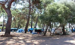 İzmir'de bir kamp alanı: Hipocamp 2024 ücretleri