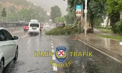 İzmir'de yağış ve fırtına hayatı felç etti: Ağaçlar devrildi ulaşım durdu