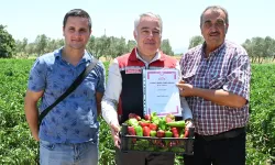 İzmir'in 120 yıllık lezzeti Arslanlar biberi: Coğrafi işaretli ürüne büyük ilgi