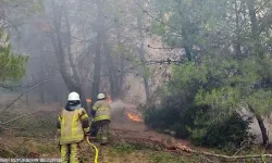 İzmir İtfaiyesi kentin dört bir yanında yangınlarla mücadele ediyor