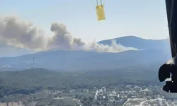 İzmir'in Urla İlçesi'nde orman yangını çıktı