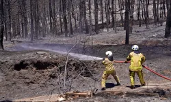İzmir'in ateş savaşçıları nöbette: Ormanların çığlığını duydum