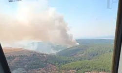 İzmir'in bir ilçesinde daha yangın çıktı: Müdahale sürüyor