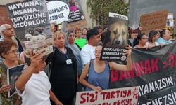 İzmirli Yaşam Hakları Savunucuları Ankara yolcusu: İnsanlık dışı olaya dur diyeceğiz