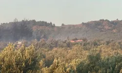 3 saati buldu: Manisa'daki orman yangını kontrol altına alındı