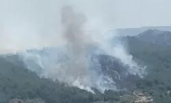 Menderes'te orman yangını: Ekiplerin müdahalesi ile söndürüldü