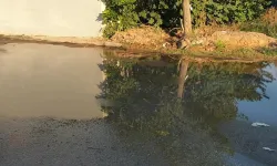 Menemen’de 15 gündür temiz su boşa akıyor: İZSU tespit yapmıyor mu?