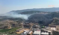 Müdahale sürüyor: Manisa'da orman yangını