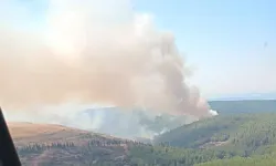 Saatlerce sürdü: Menderes'teki orman yangını kontrol altında