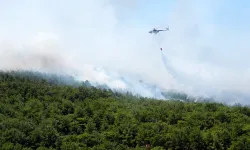 İzmir'in Urla ilçesinde çıkan orman yangını kontrol altında