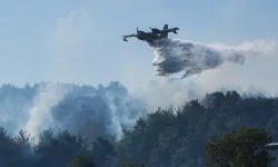 Bornova yangını Manisa’ya ilerliyor: Gökçeler Köyü de tahliye edildi