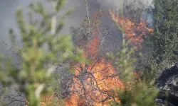 Kabus bitmiyor: Bir yangın da Fethiye'de