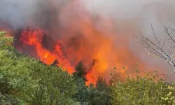 Akın Gürlek duyurdu: Yangınlarla ilgili 6 kişi tutuklandı