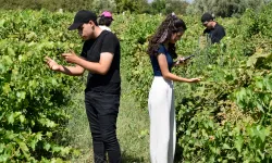 Manisa'da tarıma teknolojik dokunuş: Ürünlerden yüksek verim alınacak