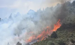 Afyon'da ormanlık alanda yangın: Söndürülmeye çalışılıyor