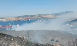 Aliağa'da yangın: Havadan ve karadan müdahale var