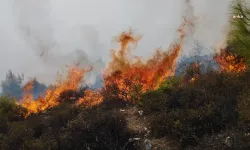 Aydın'ın Bozdoğan ilçesindeki yangın 2. gününde neden söndürülemedi?