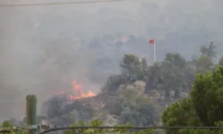 Aydın'da dağ taş küle döndü: Bir tek Türk bayrağı zarar görmedi