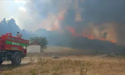 Ankara'da başlayan yangın Bolu'ya sıçradı: 1 köy tahliye edildi