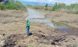 Ege Bölgesi'nin en büyük nehri: Büyük Menderes alarm veriyor