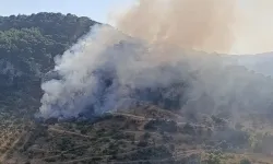 Çanakkale'nin Ayvacık ilçesinde orman yangını: 3,5 hektar alan zarar gördü