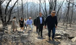 CHP heyeti yangın bölgesinde: İzmir'in yanındayız