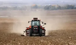 Çiftçi can çekişiyor: Ekmezsek daha kârlıyız