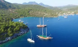 Muğla'nın cennet koyu: Turkuaz renkli sularıyla huzur dolu bir tatil deneyimi sunuyor