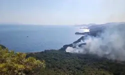 Datça'daki orman yangınıyla ilgili tutuklu sayısı 2'ye yükseldi