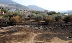 İzmir'de yangının en çok etkilediği mahallelerden: Doğançay yaralarının sarılmasını bekliyor