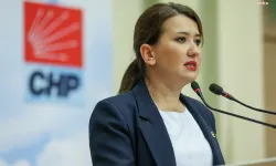 CHP'li Gökçe Gökçen'den, Özgür Özel ve Durbay'a destek