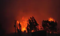 İzmir'in Bayındır ilçesinde çıkan orman yangına ilişkin 2 şüpheli tutuklandı