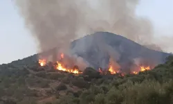 İzmir'deki yangın felaketi: Kırık kolu ile yangına müdahale etti