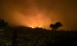 İzmir felaketi yaşıyor: 2 bin hektarın üzerinde orman alanı yandı