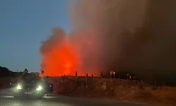 Başkan Tugay'dan yangın tepkisi: Yeterli hava müdahalesi yapılmadı