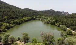 Karagöl'de kurulmak isteniyordu: RES girişimi, halkın takdirine sunulacak