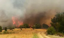 Ulaş Aydın’dan Manisa'da orman yangınlarını önlemek için tedbir çağrısı