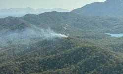 Marmaris-Datça yolunda orman yangını çıktı